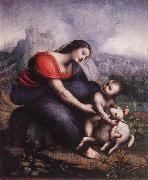 Cesare da Sesto Madonna and Child with the Lamb of God oil on canvas
